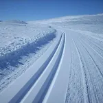 Actif 106 - Hallingheim Inn/ski Ut アパート オール