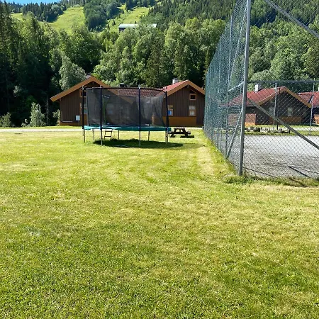Apartment Actif 106 - Hallingheim Inn/ski Ut Al