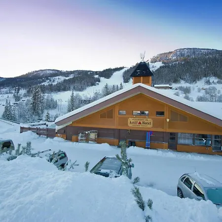 Actif 106 - Hallingheim Inn/ski Ut *