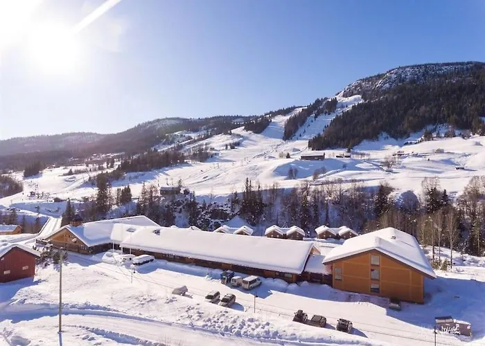 Actif 106 - Hallingheim Inn/ski Ut Leilighet