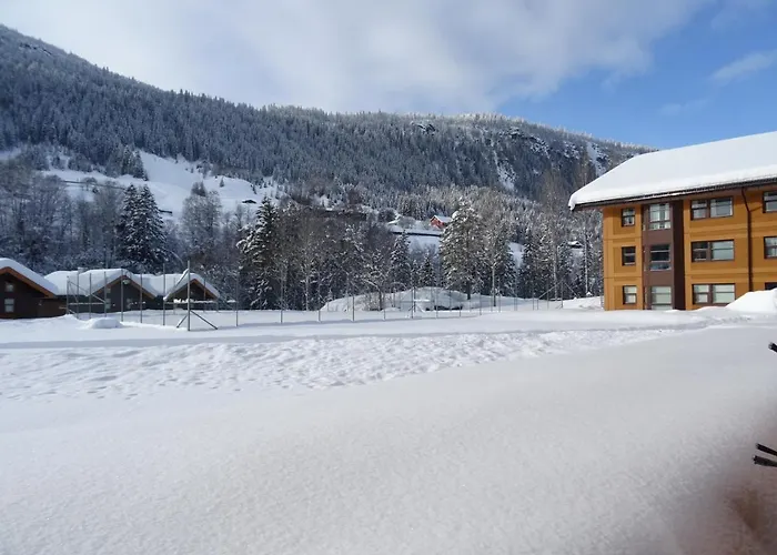 Actif 106 - Hallingheim Inn/ski Ut Leilighet Ål