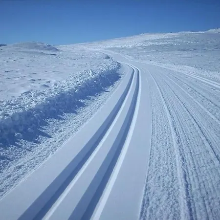 Actif 106 - Hallingheim Inn/ski Ut Apartmán Al