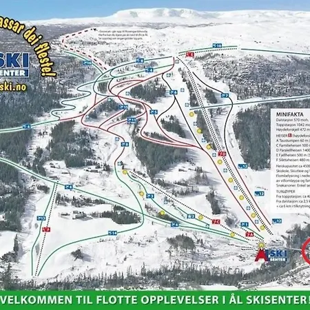 Actif 106 - Hallingheim Inn/ski Ut